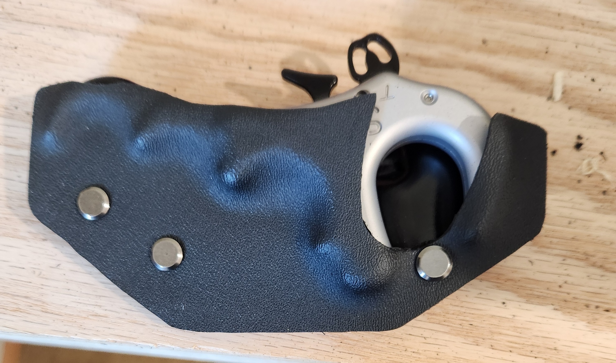 Bow Holster